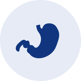 위장 모양의 이미지